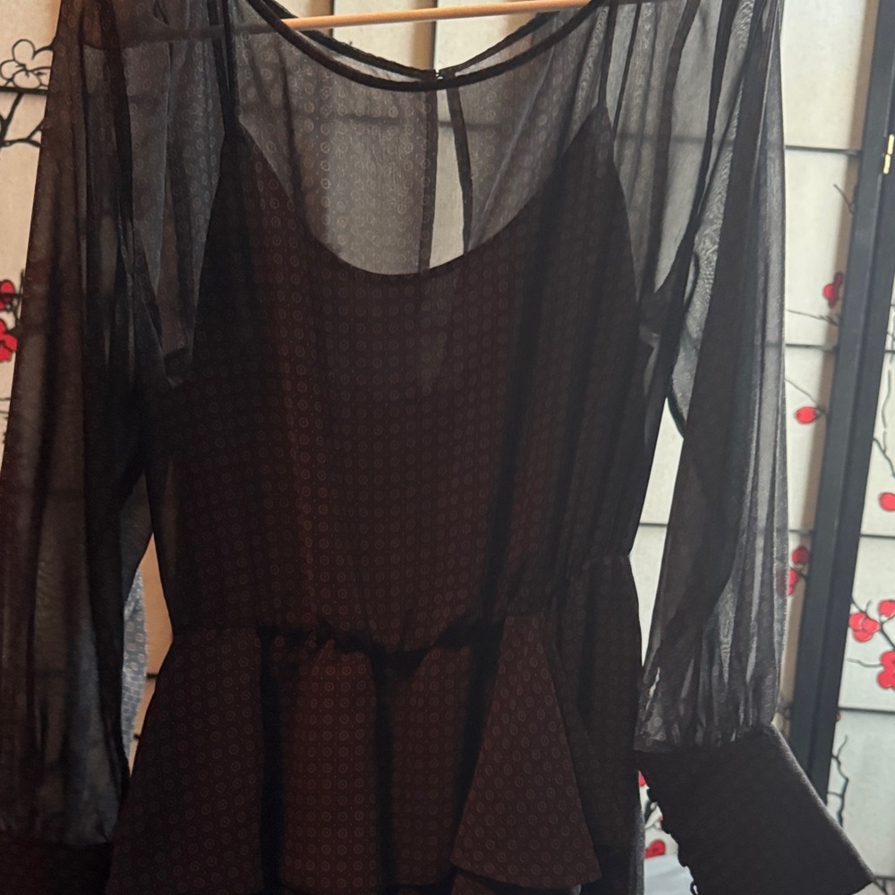 Bailey 44 Anthropology Black Sheer Overlay Dress